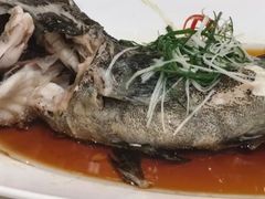 -曼格纳·曼芯馆(杨浦店)