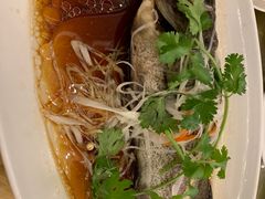 -上海新锦江大酒店