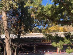 -潭柘寺景区