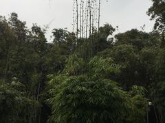 景点-望江楼公园