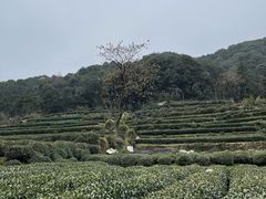 -北高峰