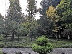 -洛阳市隋唐城遗址植物园