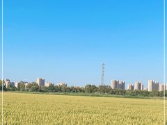 -嘉北郊野公园