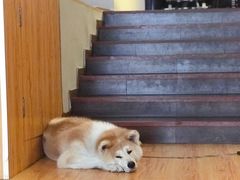 -YCHL Studios健身工作室(市二宫店)