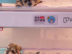 -翊宠yipet猫狗购宠庄园犬舍•猫舍