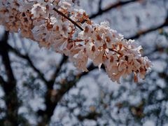 -红星桥(地铁站)