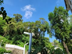 -彳亍咖啡·这里(水湾路店)