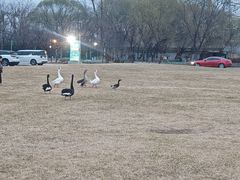 -蓝地时尚庄园(北京清河营地铁站店)