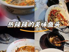 -坛宗剁椒鱼头(河西王府井店)