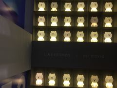 -line friends(明洞旗舰店)