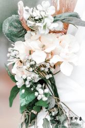 -保定金沙芝柏婚礼策划