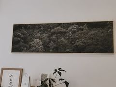 -团子君寿司·茶