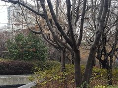 -剪刀石头布家居广场