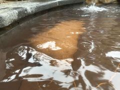 -溧阳天目湖天沐温泉