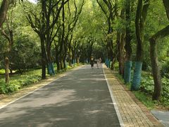 -东湖落雁景区