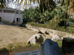 -成都动物园