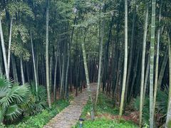 -莫干山风景区
