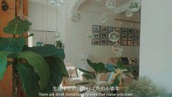 -绿皮火车照相馆 婚纱照旅拍(厦门店)