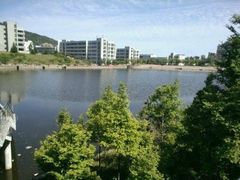 -青岛大学(金家岭校区)
