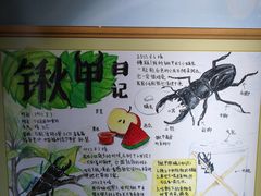 -上海昆虫博物馆