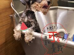 -PETKIT小佩宠物(古北店)