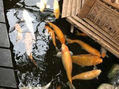 -上海大自然野生昆虫馆(东方明珠·爬宠昆虫探索中心)