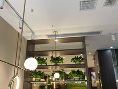-刘胖子家常菜·蹄花焖藕(中南店)