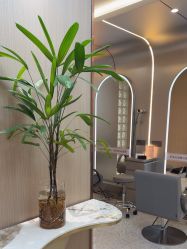 -杜卡诗salon
