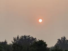 -贝壳沙滩