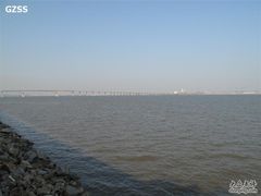 -大湾区中央湿地公园