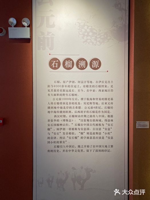 中国石榴博物馆图片