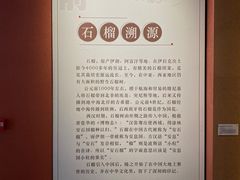 -中国石榴博物馆