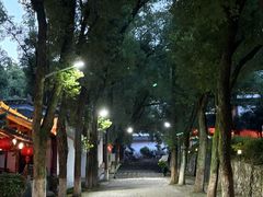 -青龙山国家森林公园