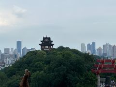 -黄鹤楼公园(黄鹤楼)