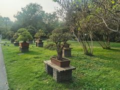 -扬州大运河文化旅游度假区·盆景园