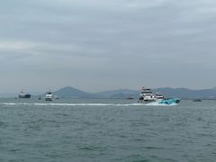 -小猫钓鱼海钓俱乐部(椰梦长廊店)