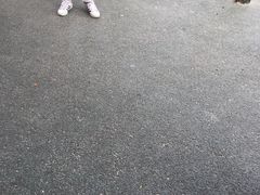 -成飞公园