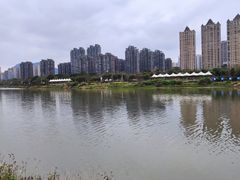 -龙江公园