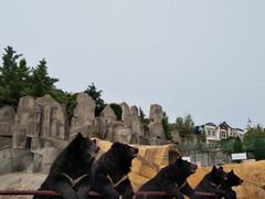 -东方熊牧场