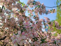 -元大都城垣遗址公园