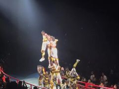 -广州长隆国际大马戏