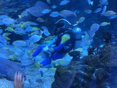 -海合安成都极地海洋公园