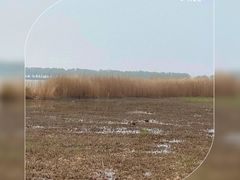 -野鸭湖国家湿地公园