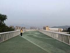 景点-飞凤山奥体公园