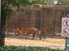 -秦皇岛野生动物园