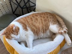 -小时光咖啡馆(北锣鼓巷店)