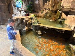 -宝燕乐园(闵行旗舰店)