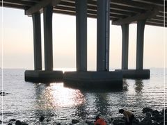 -宝安西湾红树林湿地公园