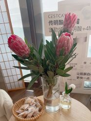 -宥莉·ULLY 痘敏肌•科技皮肤管理中心