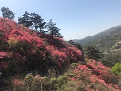 -木兰云雾山